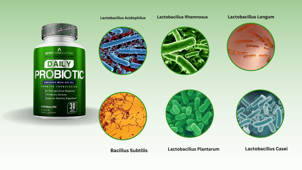 Aktiv Formulations Daily Probiotic Ingredients