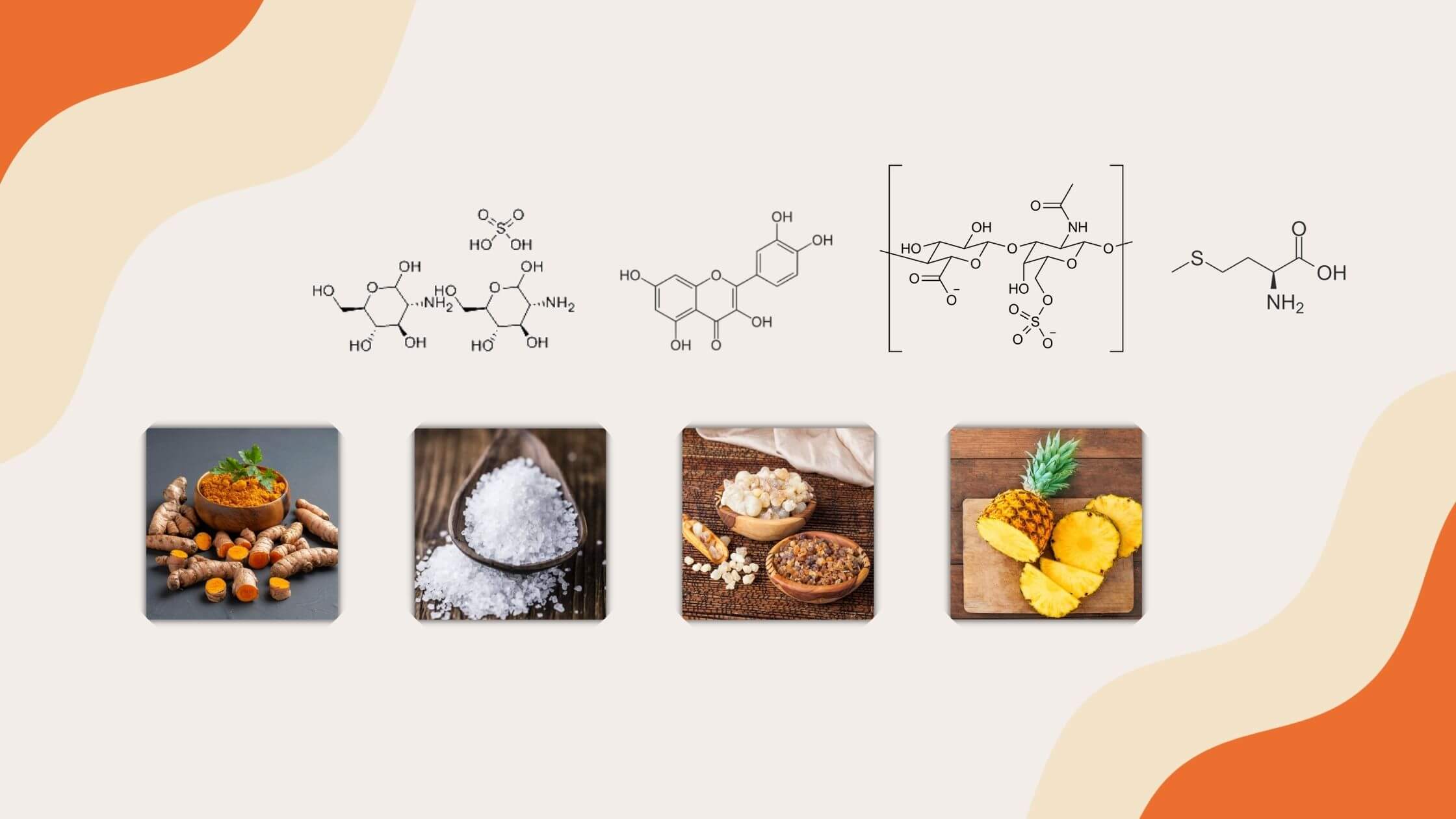 Aktiv Formulations Joint Support Ingredients