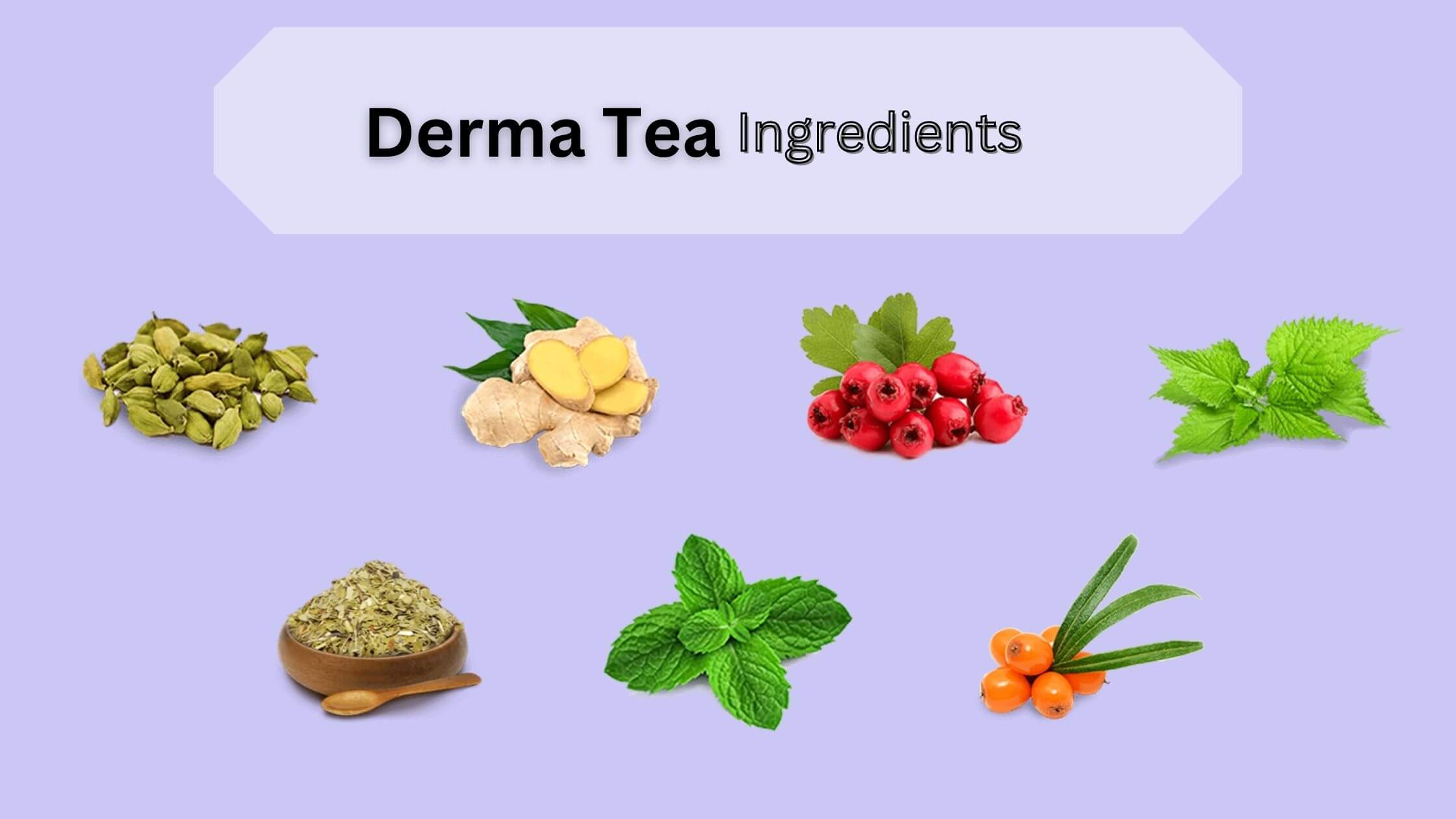 Derma Tea Ingredients