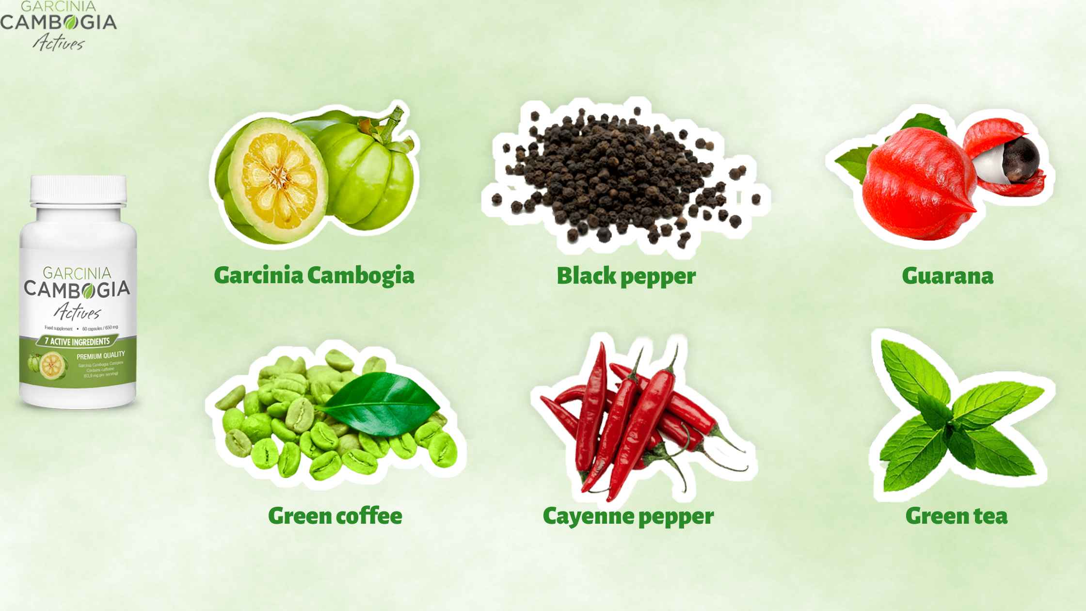 Garcinia Cambogia Actives Ingredients