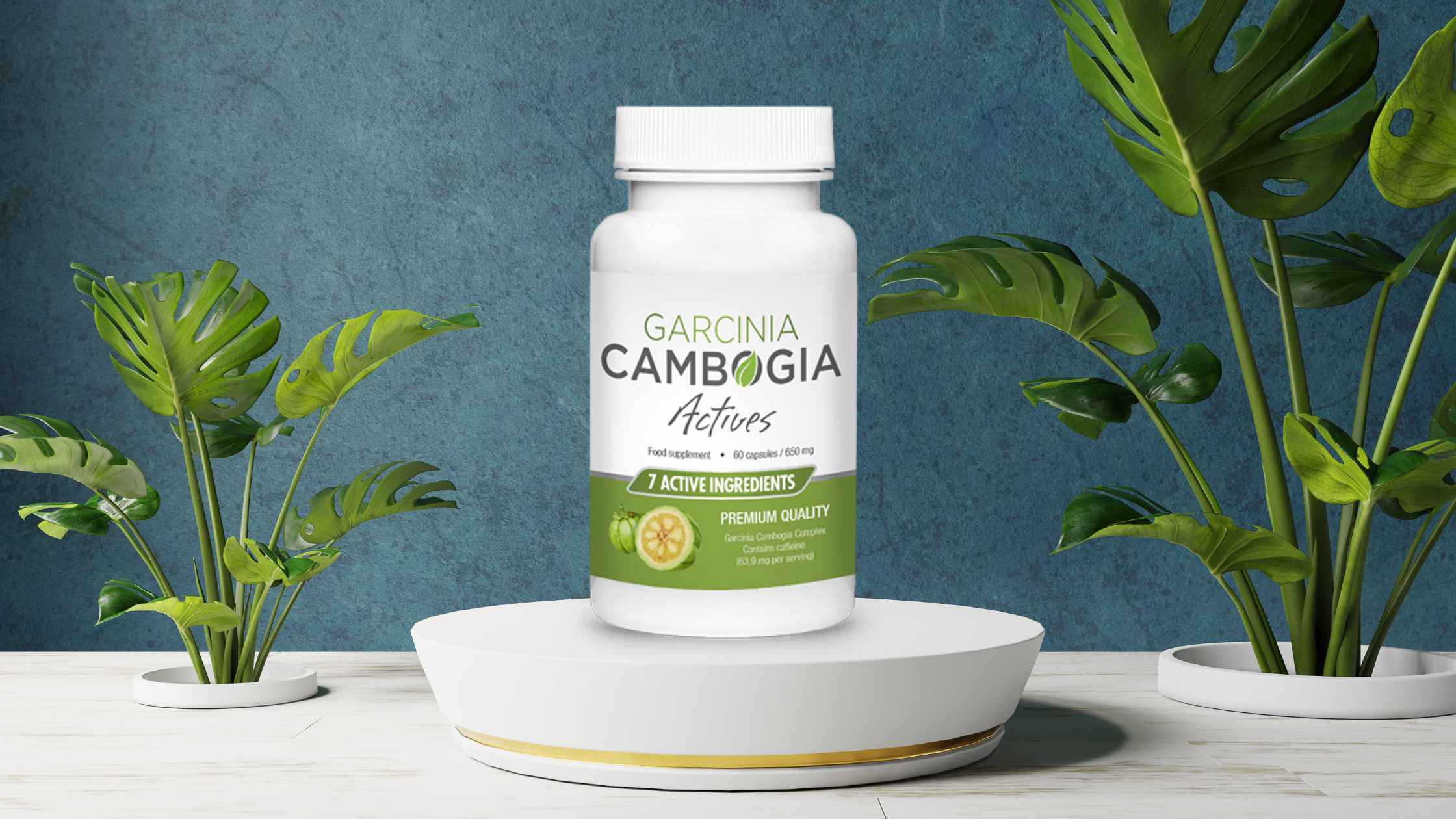 Garcinia Cambogia Actives Reviews