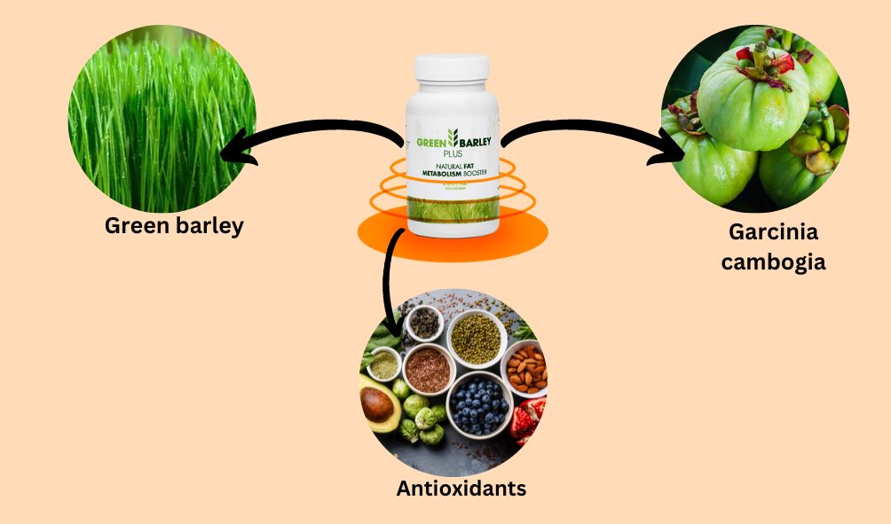 Green Barley plus Ingredients