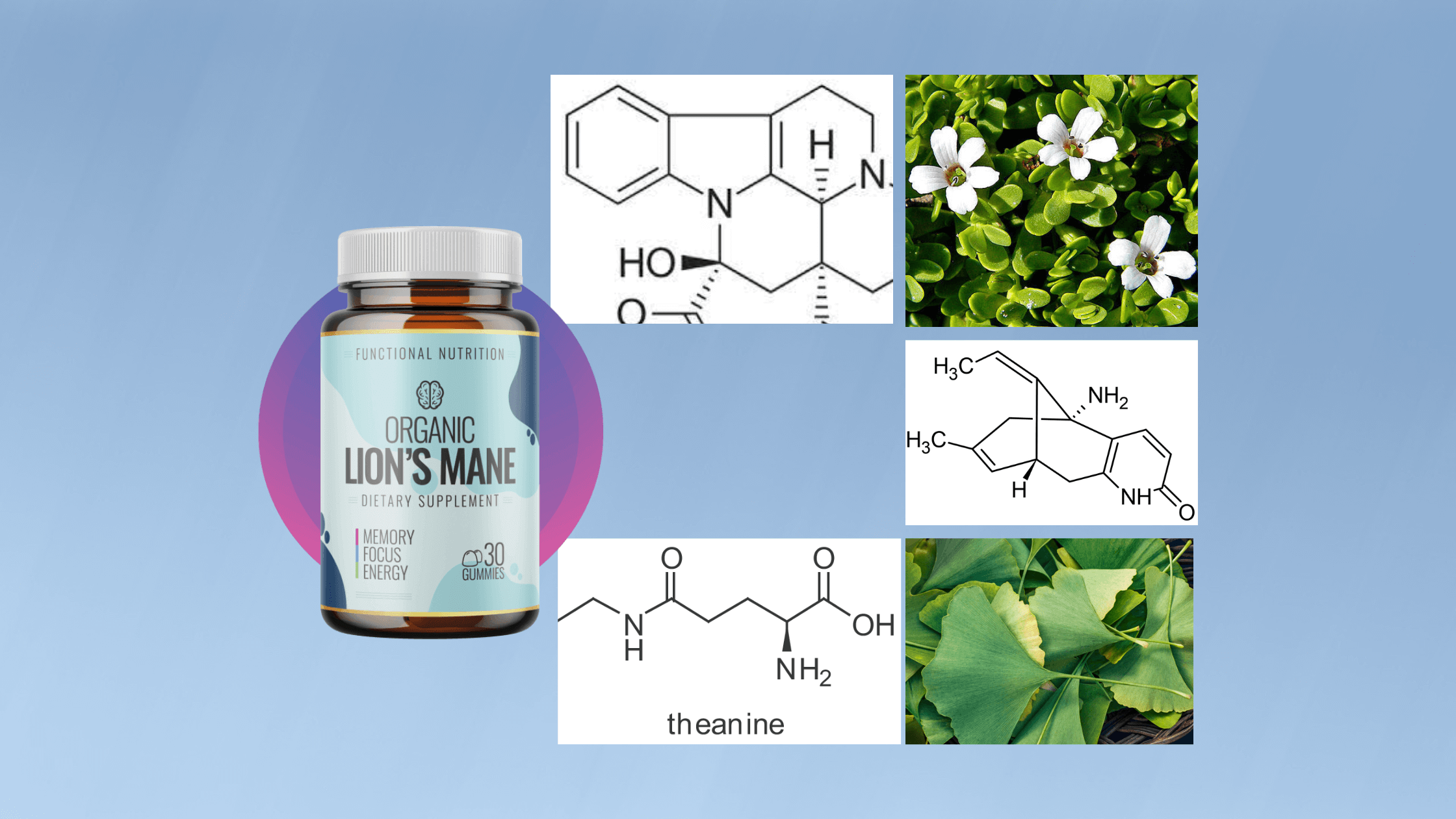 Lion's Mane Gummies Ingredients