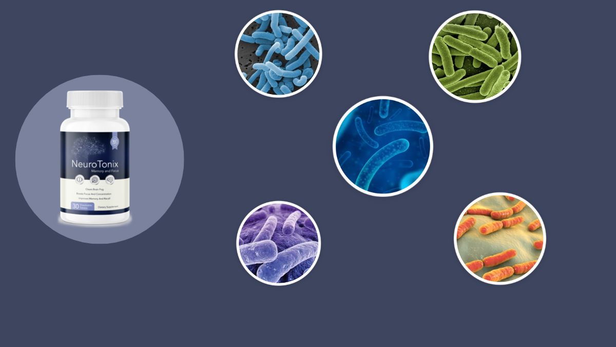 Neurotonix Ingredients Probiotics
