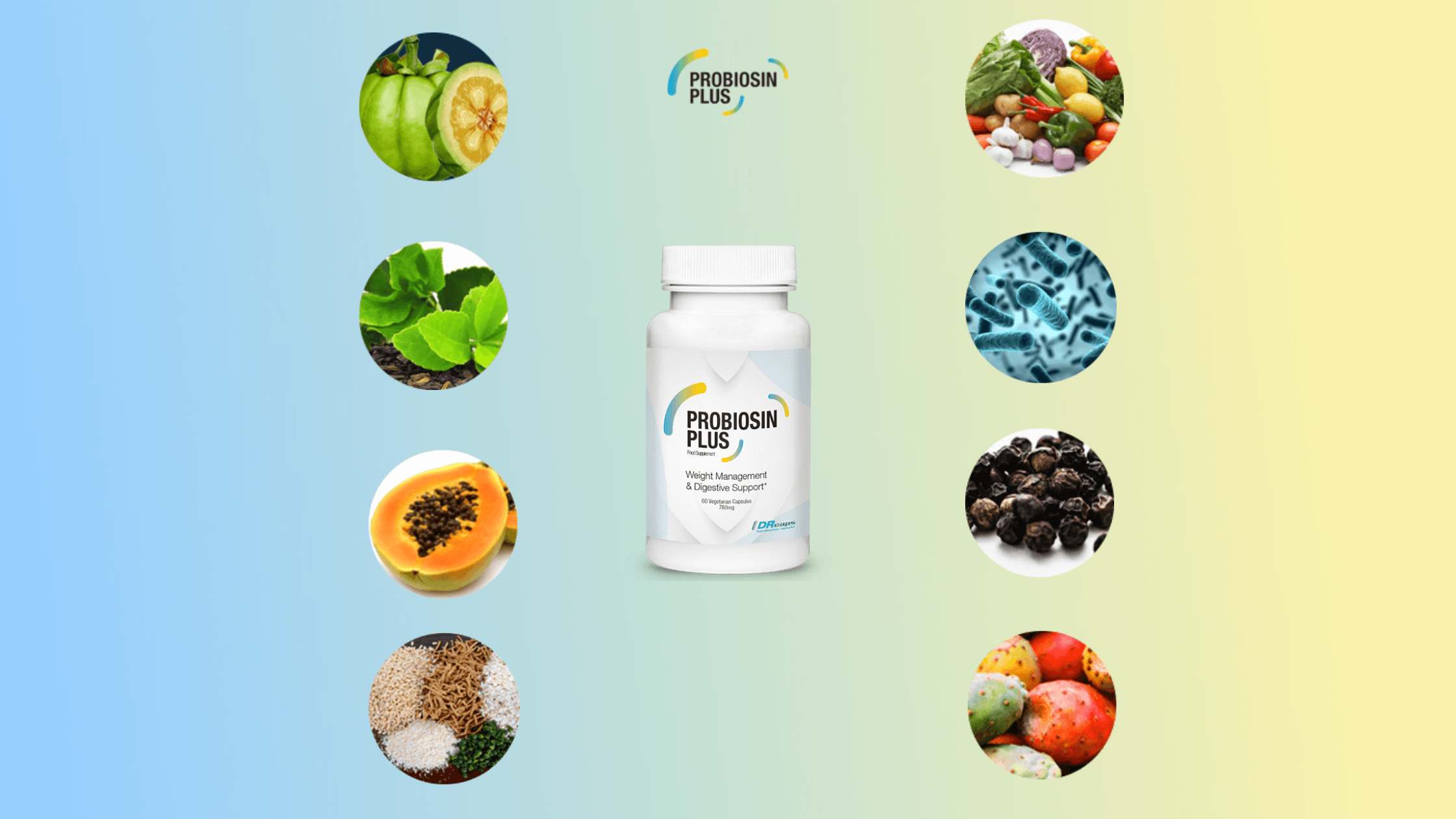 Probiosin Plus Ingredients