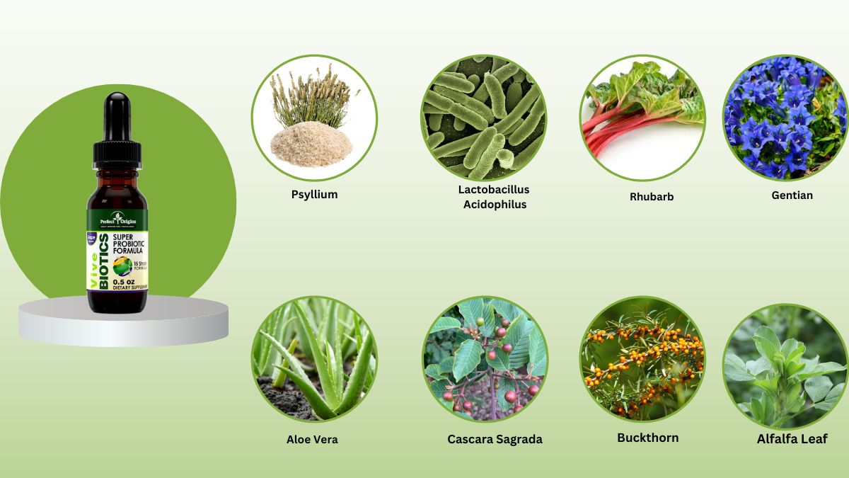 Vive Biotics Ingredients
